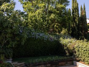 3815 Chanson Drive, View Park CA 90043