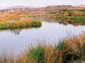 2822 Winthrop Ave, Carlsbad CA 92010