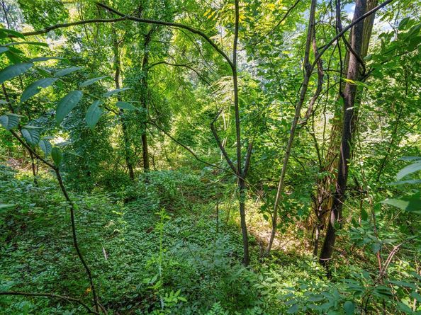 6 Century Ridge Road, Purchase NY 10577