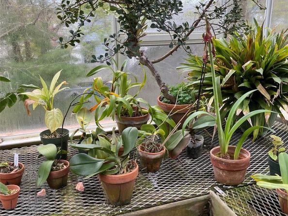 92 Walnut Street, Lynbrook NY 11563