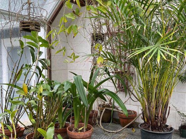 92 Walnut Street, Lynbrook NY 11563