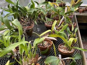 92 Walnut Street, Lynbrook NY 11563