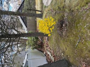 8 Dee place, Huntington Station NY 11746