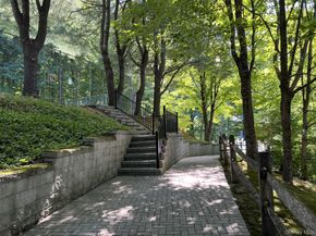 42 Timber Ridge, Mount Kisco NY 10549