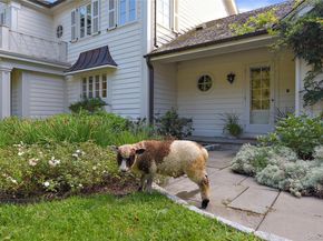16 Whippoorwill Road, Armonk NY 10504