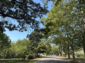 239 Ocean Avenue, Brentwood NY 11717