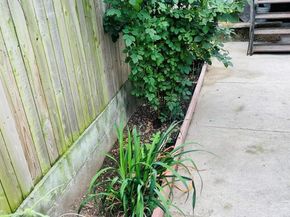 25 Marconi, Brooklyn NY 11233