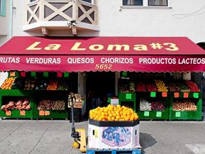 1749 San Jose Avenue, San Francisco CA 94112