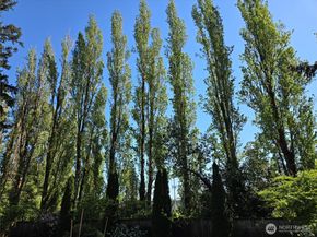 313 NE 191 Street, Shoreline WA 98155