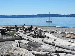 6406 Fauntleroy Way SW, Seattle WA 98136
