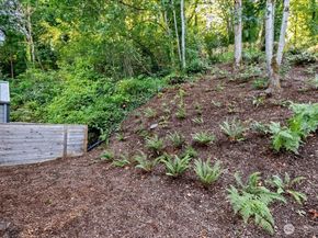 6737 25TH Avenue SW, Seattle WA 98106