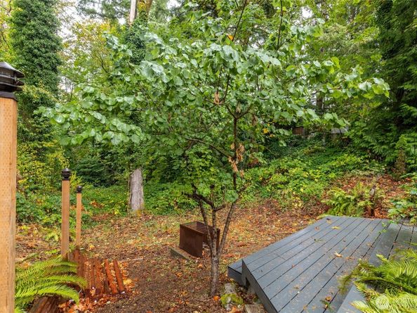 4123 150th Avenue SE, Bellevue WA 98006