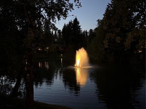13832 66th Street NE 599, Redmond WA 98052