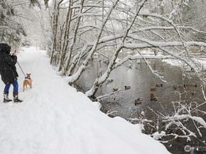 15512 Country Club Drive B14, Mill Creek WA 98012