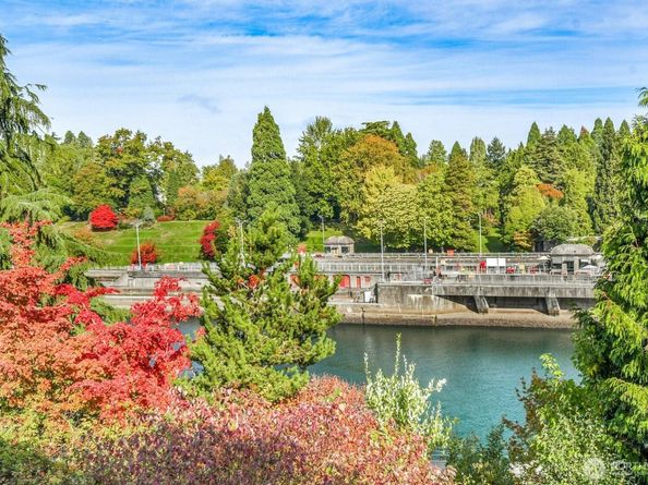 3200 W Commodore Way 207, Seattle WA 98199
