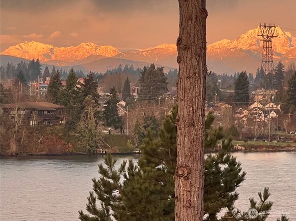 1149 Wheaton Way, Bremerton WA 98310
