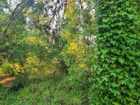 15314 SE Newport Way, Bellevue WA 98006
