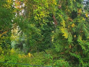 15314 SE Newport Way, Bellevue WA 98006