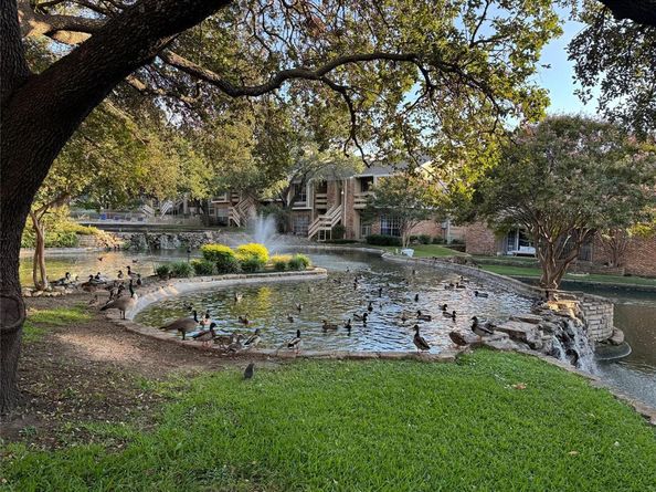 3550  Country Square Drive  505, Carrollton Texas 75006