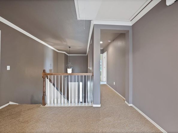 1908  Canyon Wren  , McKinney Texas 75071