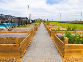 5333  Hybern Avenue , Aubrey Texas 76227