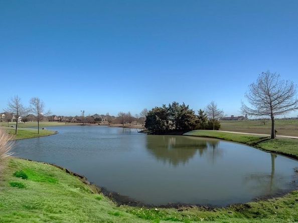871  Cavitt Court , Prosper Texas 75078
