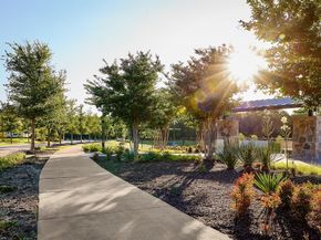 9472  Jackson Vine  , Frisco Texas 75035