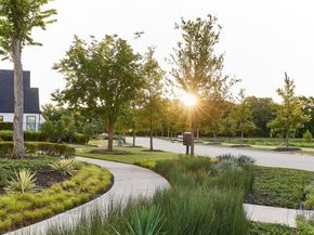 9472  Jackson Vine  , Frisco Texas 75035