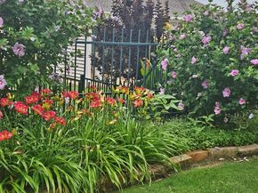 7265  Honeybee Lane , Frisco Texas 75036