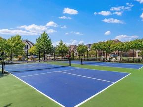 4215  Snow Goose Trail , Arlington Texas 76005