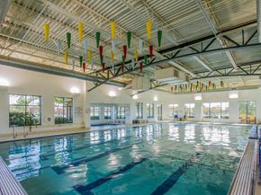 207  Mariposa Lane , Frisco Texas 75036