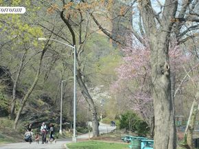 321 West 110th Street 17B, New York NY 10026