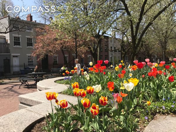 220 Congress Street 4E, Brooklyn NY 11201