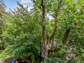 679 West 239th Street 3J, Bronx NY 10463