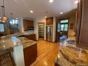 1145 S Williams Street, Denver CO 80210
