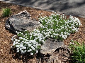 1145 S Williams Street, Denver CO 80210