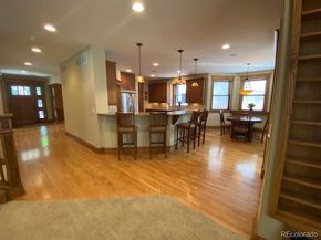 1145 S Williams Street, Denver CO 80210