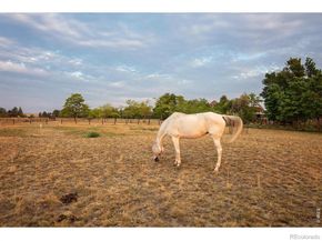 9421 Gunbarrel Ridge Road, Boulder CO 80301