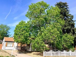 2201 Pontiac Street, Denver CO 80207