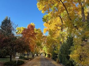 1065 Zang Street, Golden CO 80401