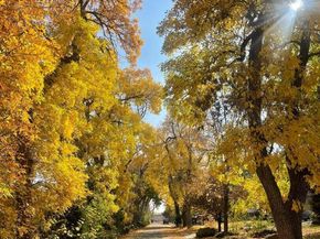 1065 Zang Street, Golden CO 80401