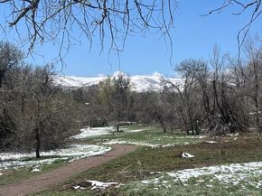 1065 Zang Street, Golden CO 80401