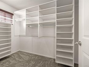 20109 Randolph Place, Denver CO 80249