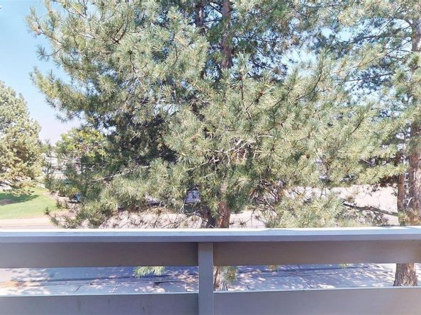 3344 S Ammons Street 16208, Lakewood CO 80227