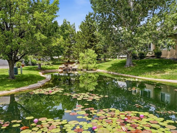 13679 W 62nd Drive, Arvada CO 80004