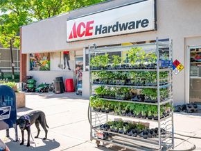 1245 Elizabeth Street, Denver CO 80206