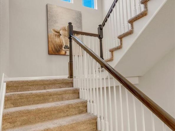 1106 Redbud Circle, Longmont CO 80503