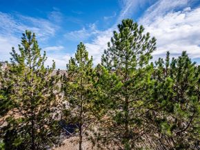 2896 W Riverwalk Circle A304, Littleton CO 80123