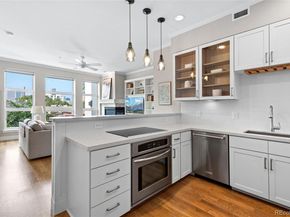 1738 N Franklin Street 2A, Denver CO 80218