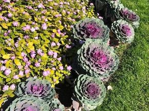 580 S Clinton Street 12C, Denver CO 80247